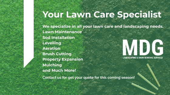 MDG Landscaping-Your Lawn Care Specialist